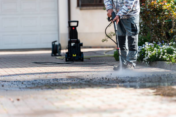 Best Roof Pressure Washing  in Horizon West, FL