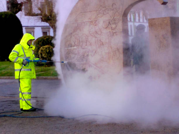 Best Roof Pressure Washing  in Horizon West, FL
