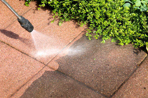 Best Residential Pressure Washing Services  in Horizon West, FL